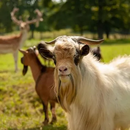 Stevin Ranc * Bosanska Dubica