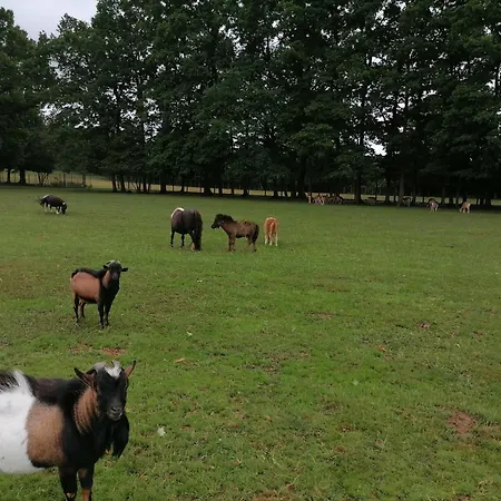 Stevin Ranc * Bosanska Dubica