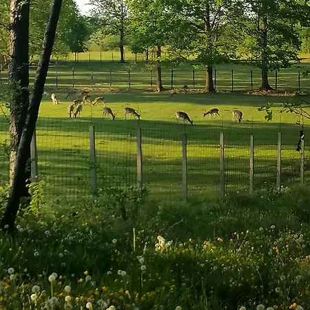 Campsite Stevin Ranc Bosanska Dubica