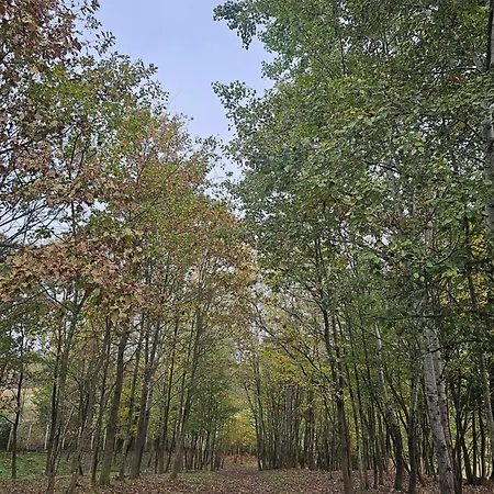 Stevin Ranc Campingplatz *