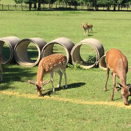 Campingplatz Stevin Ranc