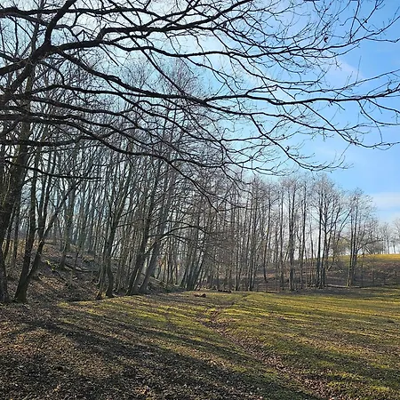 Stevin Ranc Bosanska Dubica