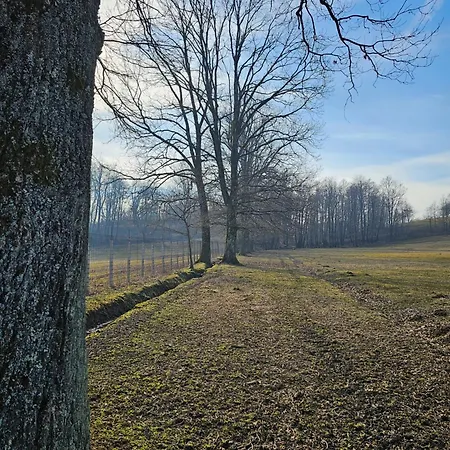 Campsite Stevin Ranc