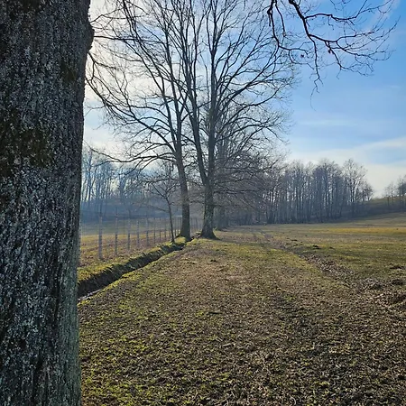 Campingplatz Stevin Ranc